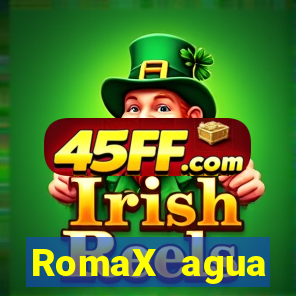 RomaX agua sanitaria fispq agua sanitaria romax